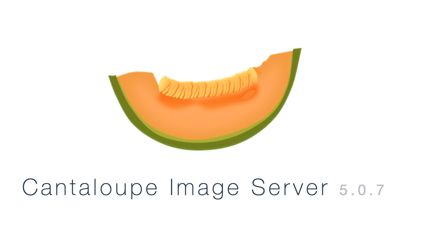 An image of the server in your browser