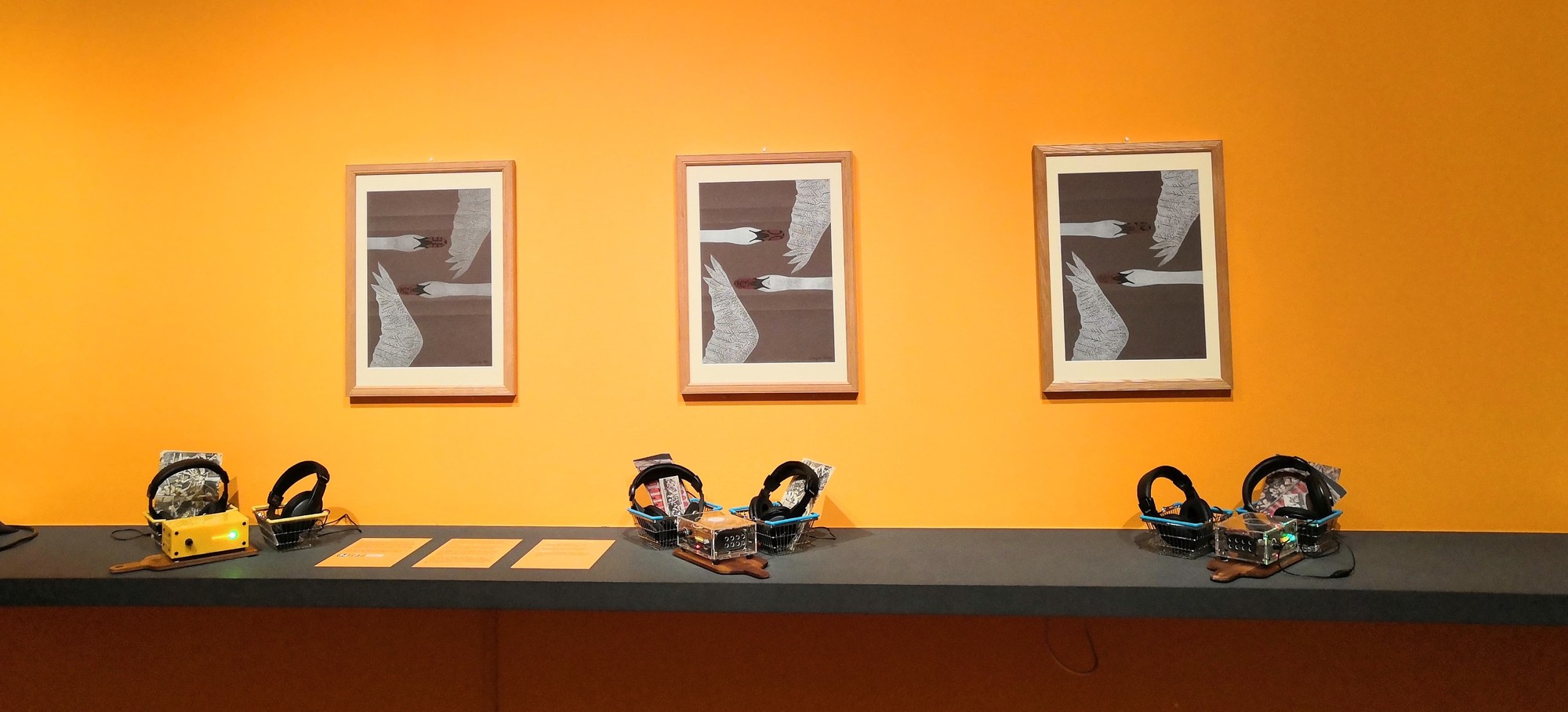 Figure 6: The installation of Museum in a Box stations and the artist’s prints. Photo: Daniel Pett