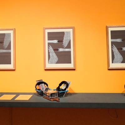 The 3 boxes installed in the exhibition space