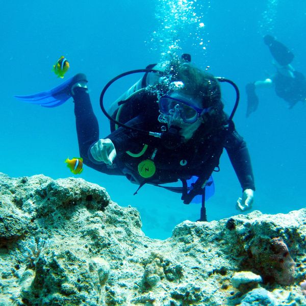 Scuba diving, Sharm el Sheikh