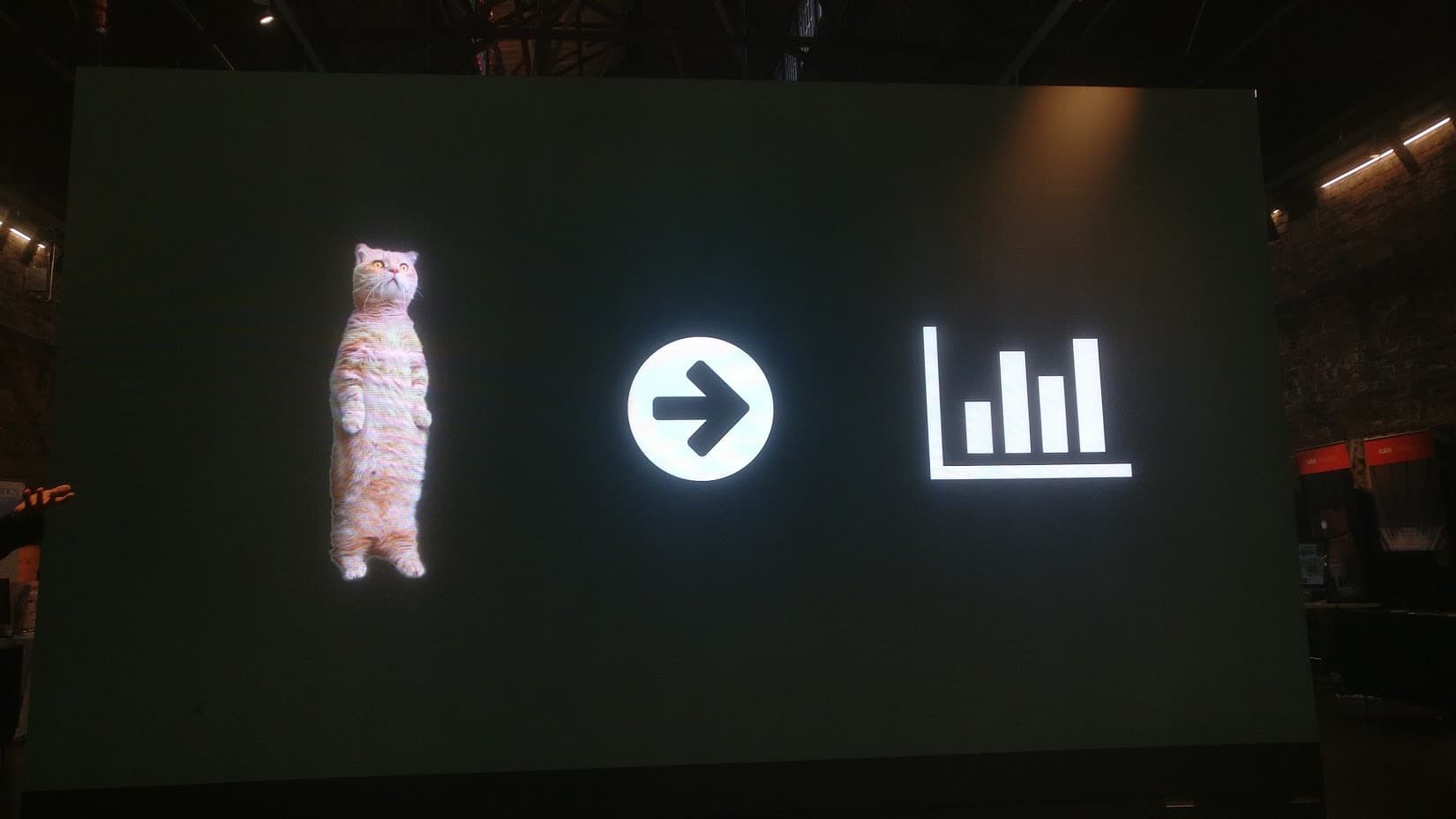 Cats to data